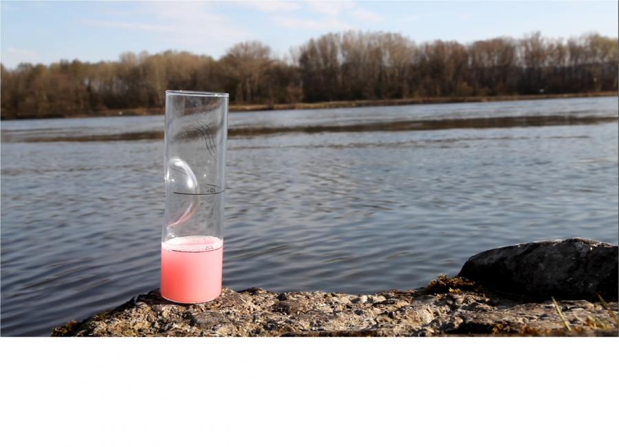 Untitled (100ml of rose water can perfume the Danube). 2013